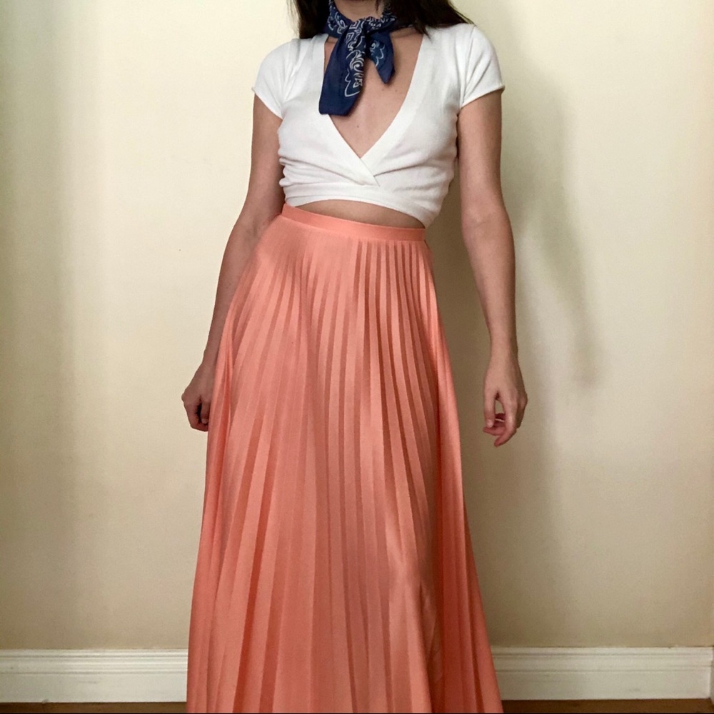 ❤️SOLD❤️ Vintage 70s Accordion Skirt - Picture 5 of 5